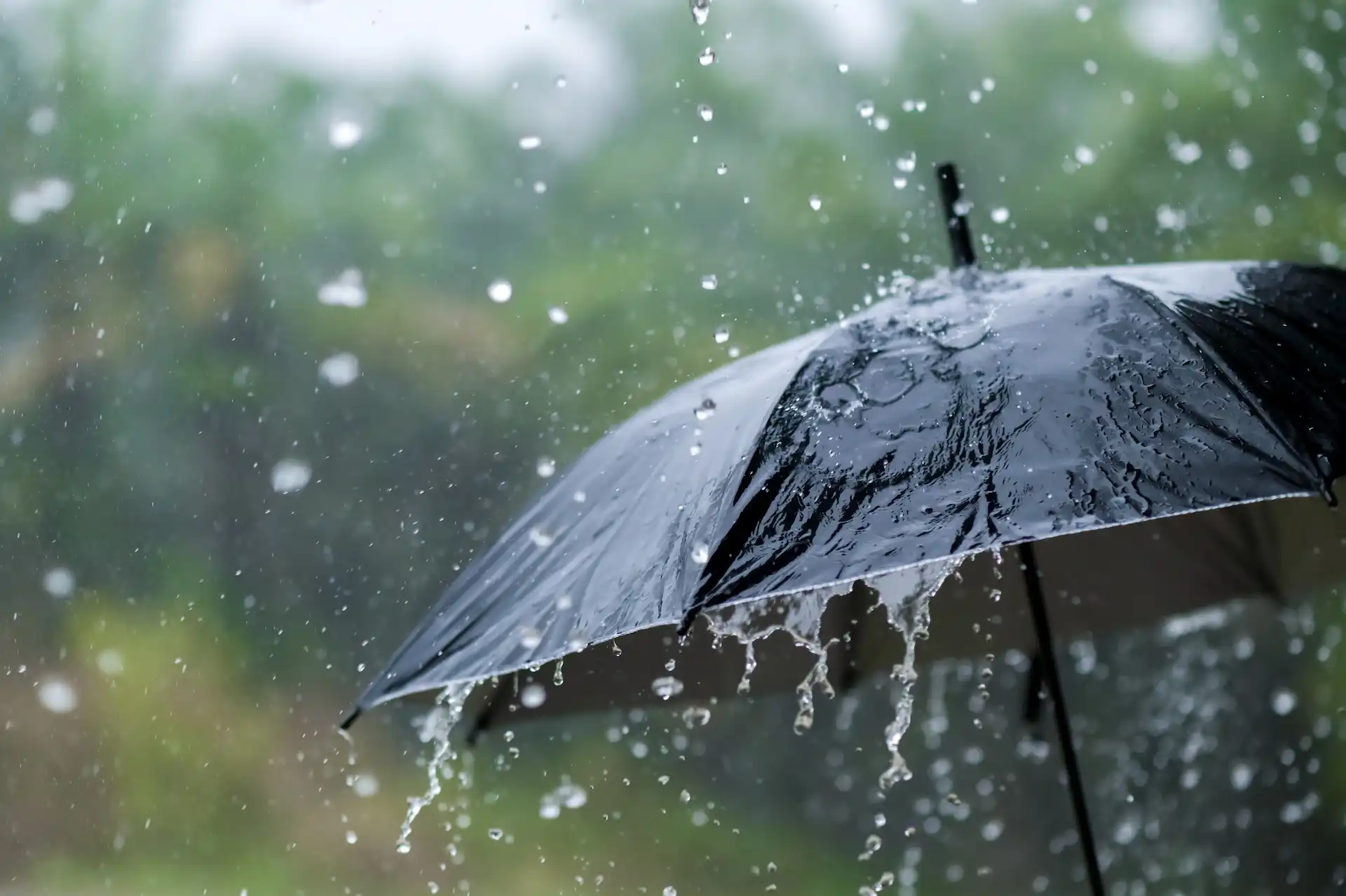 previsioni meteo