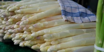 asparago bianco