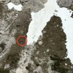 Tragedia in volo, precipita con il parapendio