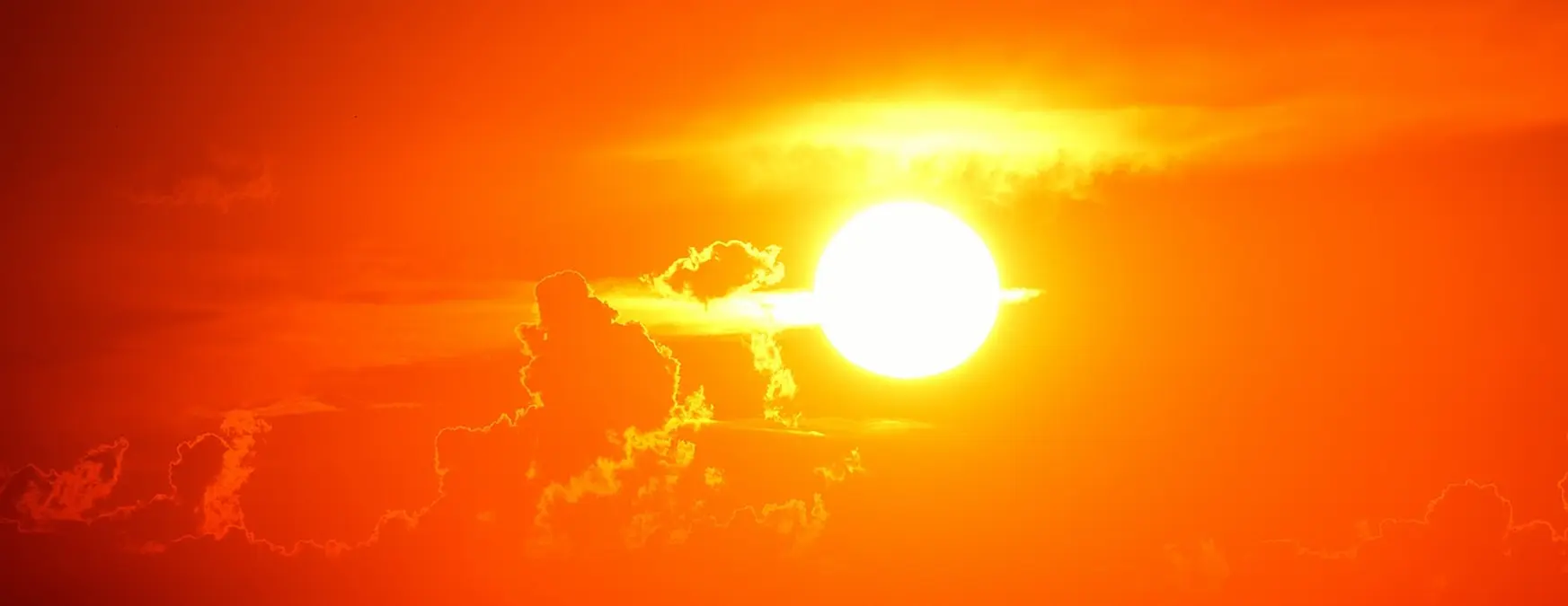 Caldo