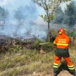 Monfalcone, incendio in località Forcate