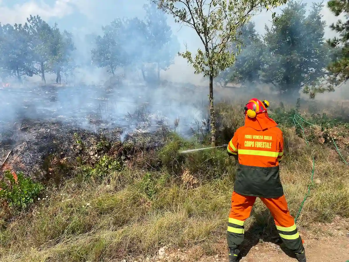 Monfalcone, incendio in località Forcate
