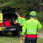 pista forestale a Forni di Sopra
