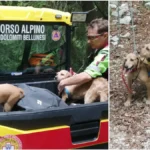 Lola e Lucy salvate dopo 3 giorni di ricerche