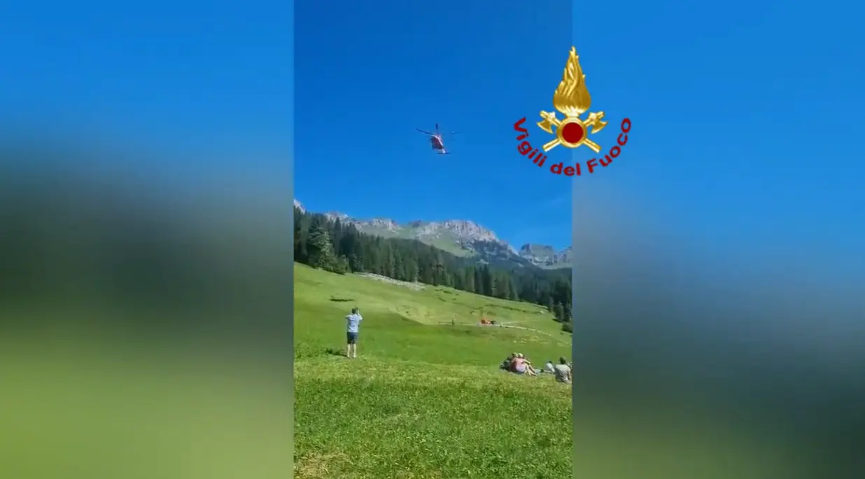 Belluno, recuperati con l’elicottero due cavalli caduti in un dirupo