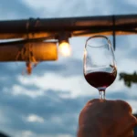 Calici di Stelle accende i cieli di Grado e San Daniele del Friuli