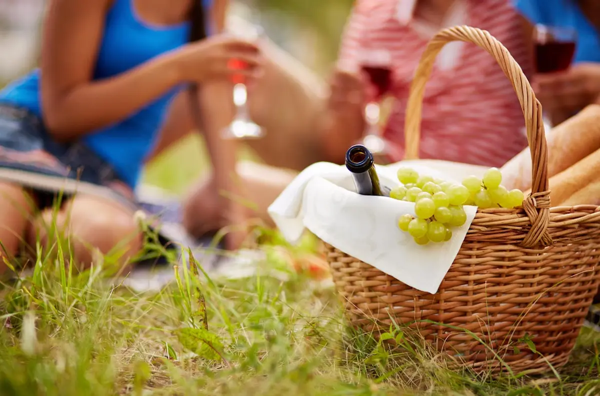 Ferragosto in provincia di Padova, sagre ed eventi