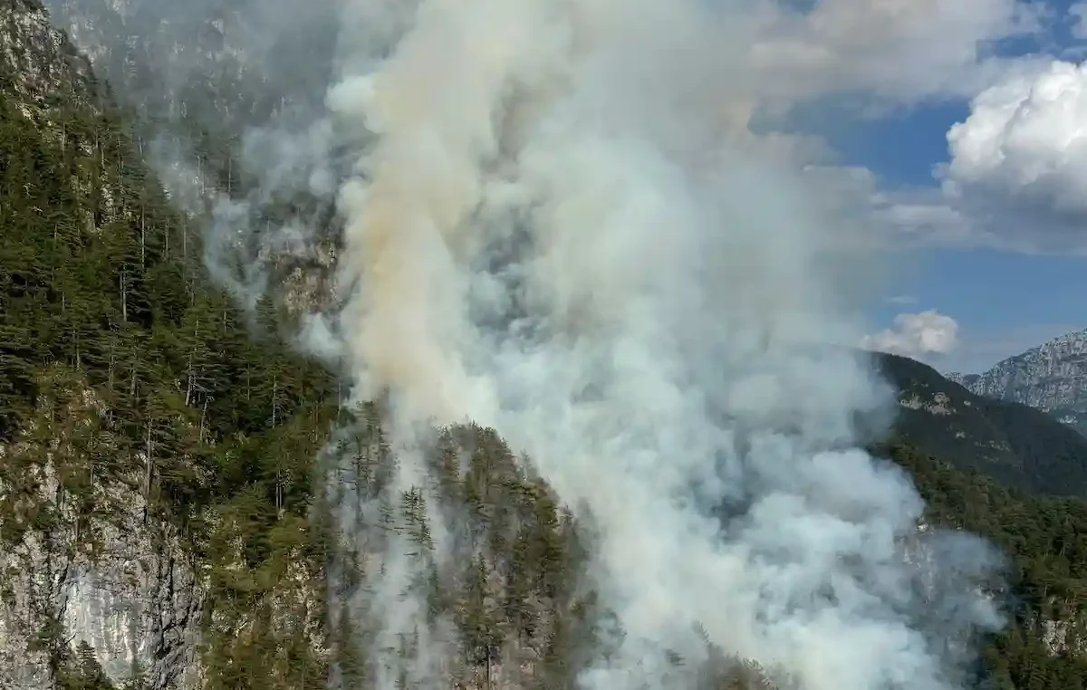 Incendio boschivo a Moggio Udinese: nuova lotta contro le fiamme