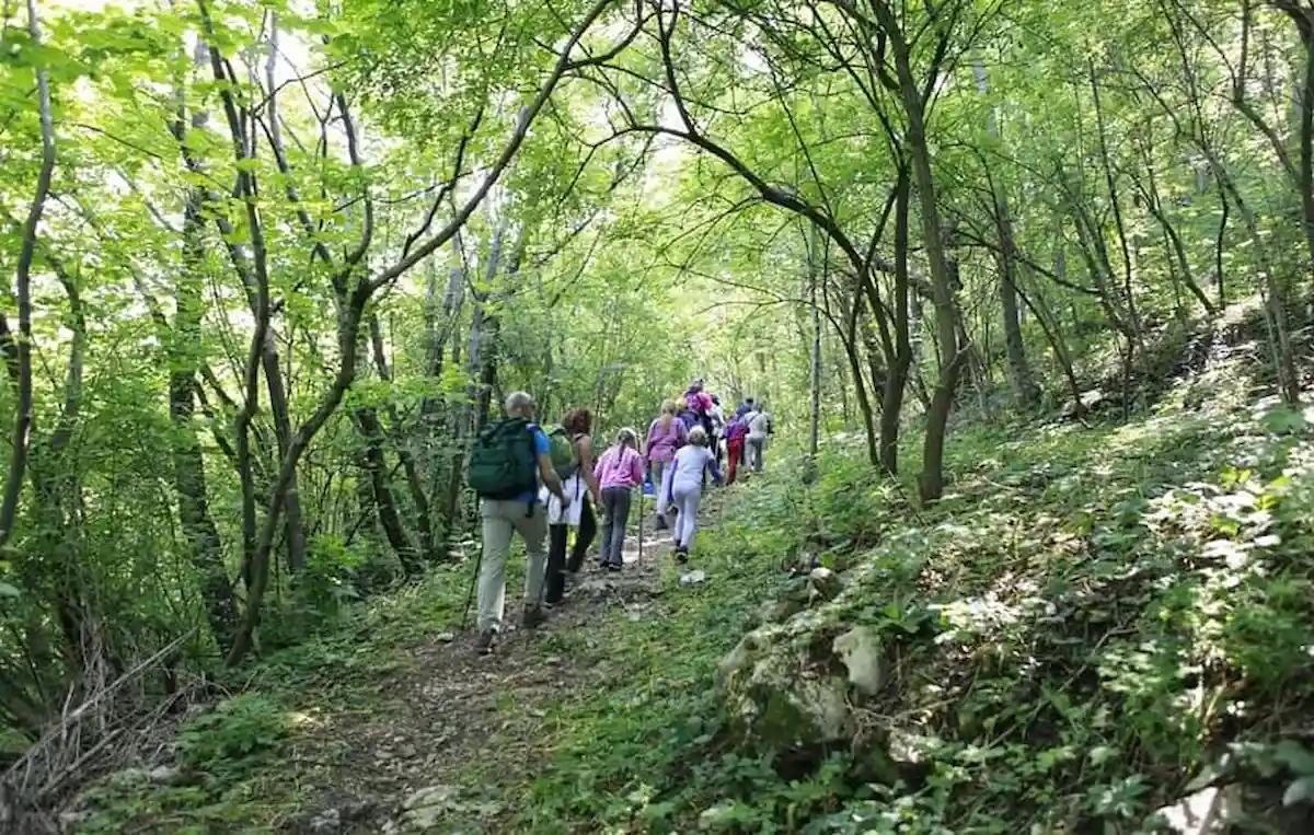 un'escursione tra natura e sapori autentici