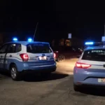 Aggredito con violenza mentre porta il cane al parco