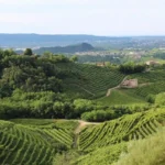 Le Perle nascoste delle Città del Friuli e del Veneto