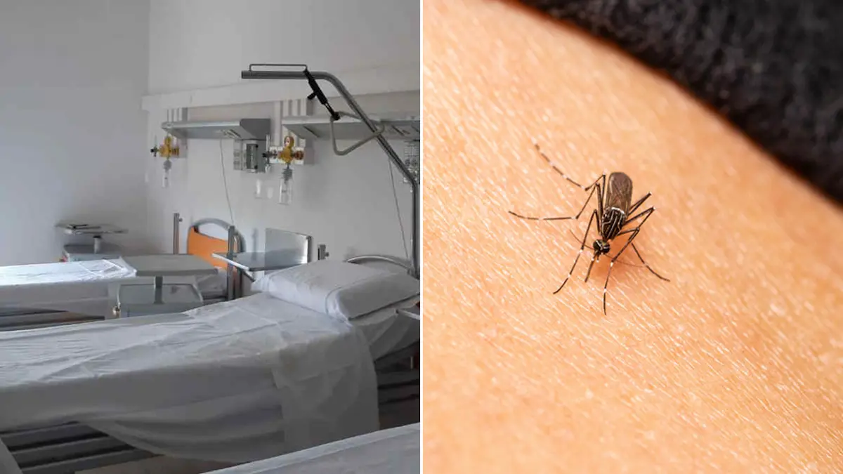 ricoverata per Dengue