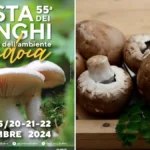 Festa dei Funghi e dell’Ambiente