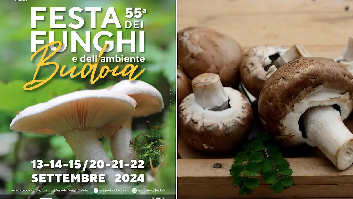 Festa dei Funghi e dell’Ambiente