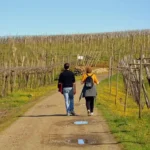 passeggiate “10mila passi di salute”
