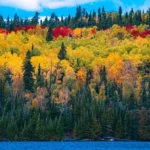 Veneto in autunno