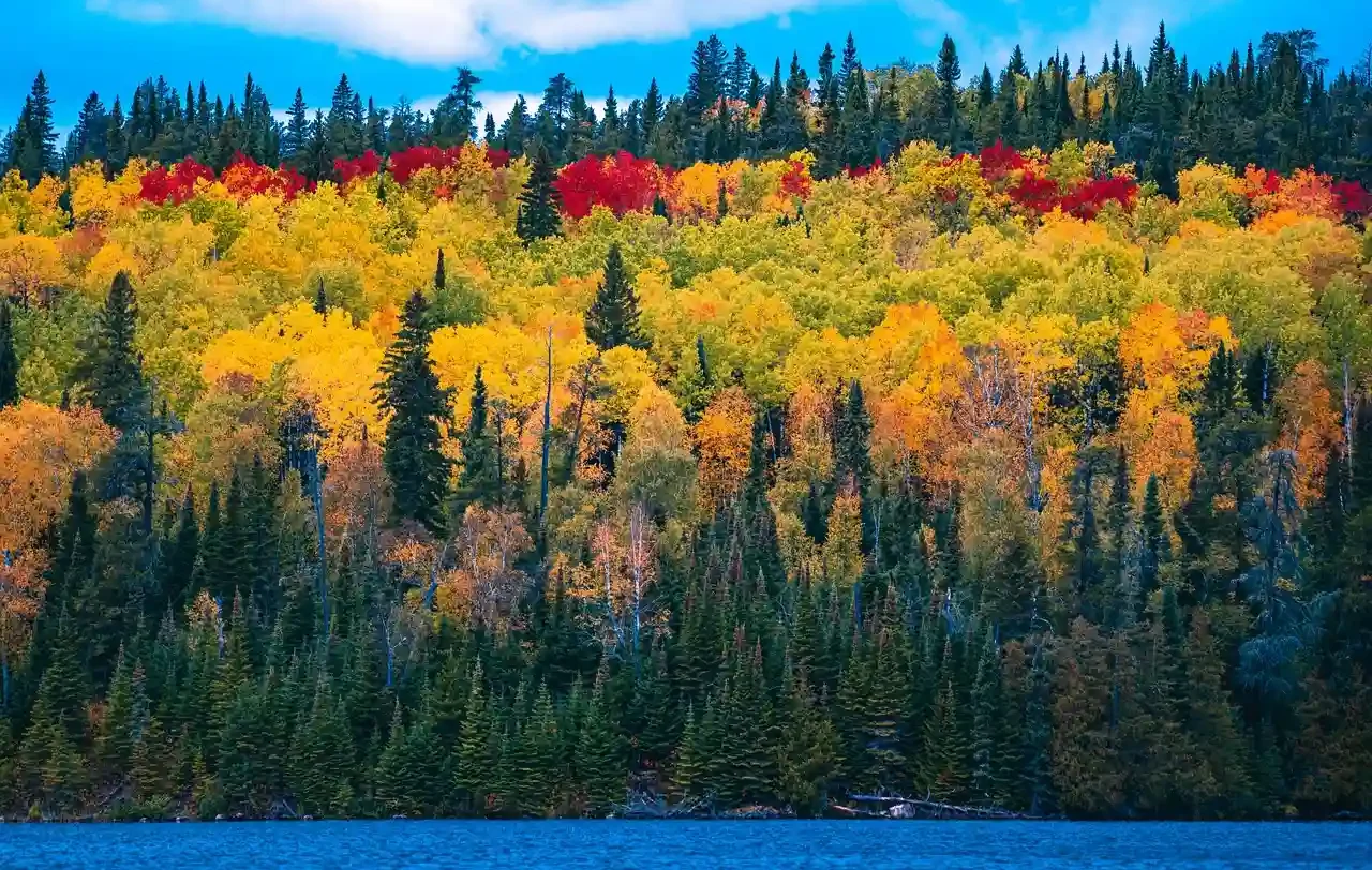 Veneto in autunno
