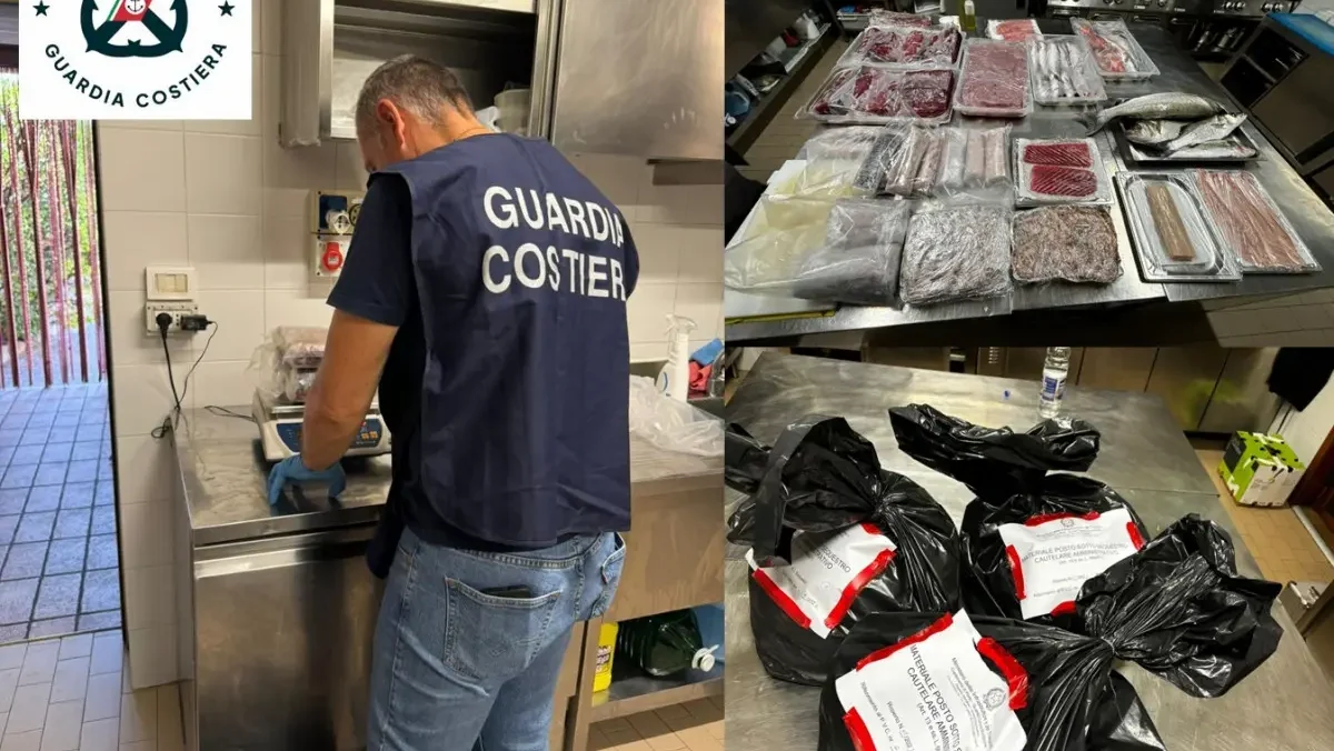Pesce di origine sconosciuta