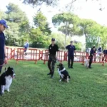Comitato dei 1000 Eventi