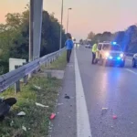Incidente mortale a San Vendemiano