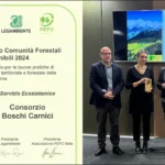 Il riconoscimento a Rimini