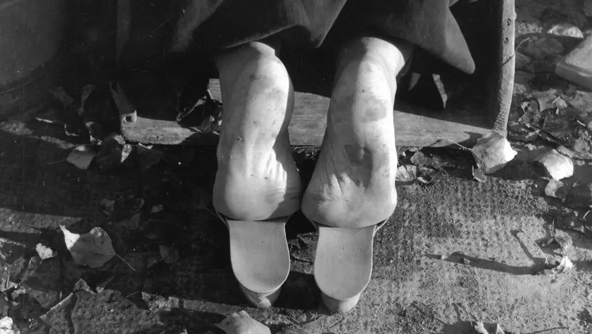 ITALO ZANNIER Io sono io. Fotografo nella storia e storico della fotografia