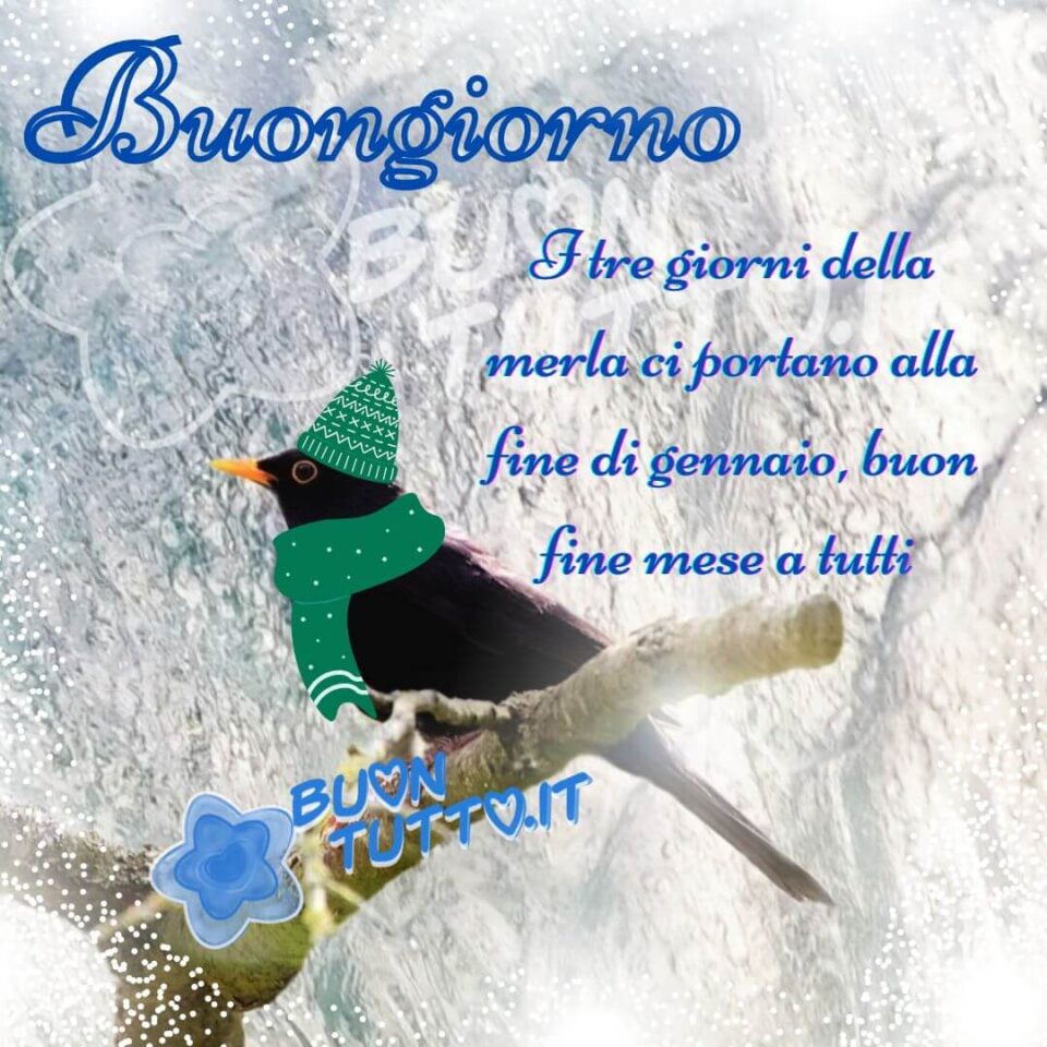 Immagini e frasi di Buongiorno sabato 4 gennaio