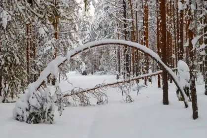 neve a Nord Est