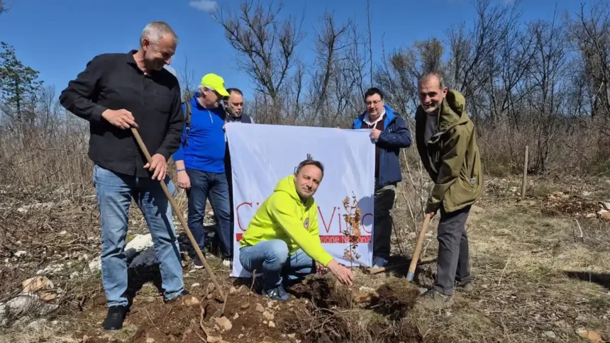MEDEAZZA DI DUINO AURISINA: 50 NUOVI ALBERI DI ROVELLA