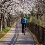 le ciclabili