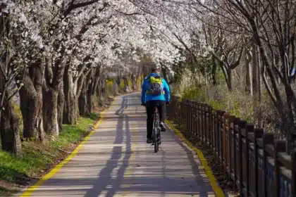 le ciclabili