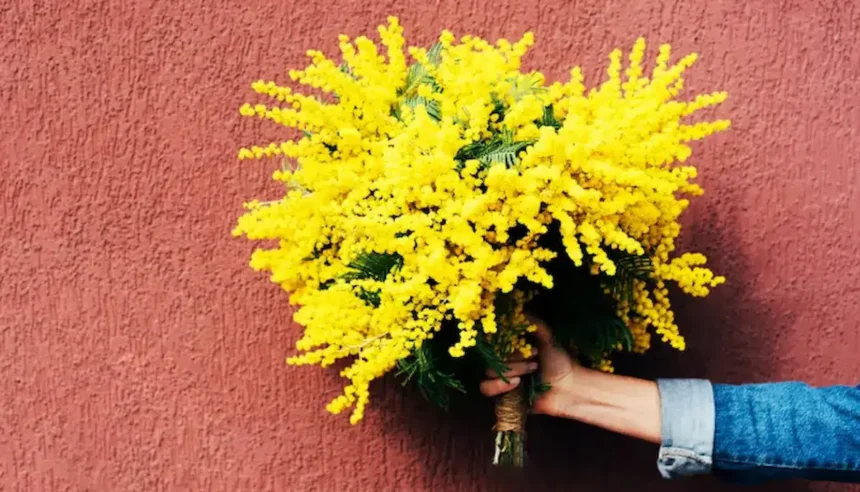 Quand è La Festa Delle Donne 8 Marzo: origine, storia e significato della Festa della Donna – Nordest24