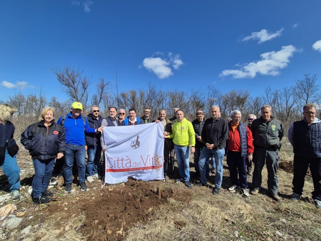 MEDEAZZA DI DUINO AURISINA: 50 NUOVI ALBERI DI ROVELLA