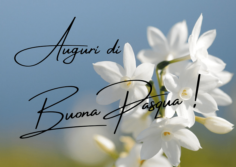 Immagini, frasi di buongiorno e Auguri di Buona Pasqua