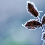 tornano freddo e gelo tra Veneto e Friuli