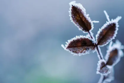 tornano freddo e gelo tra Veneto e Friuli