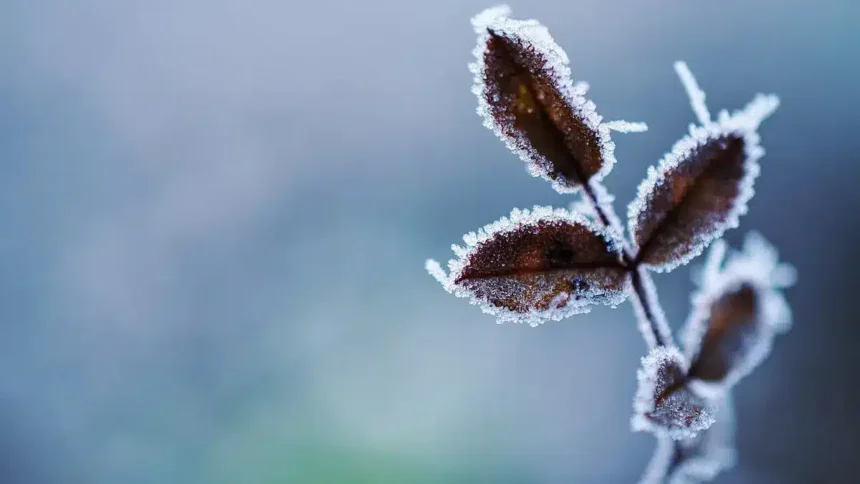 tornano freddo e gelo tra Veneto e Friuli