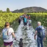 Camminate, giochi e musica per bambini