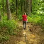 7 passeggiate all’ombra nei boschi