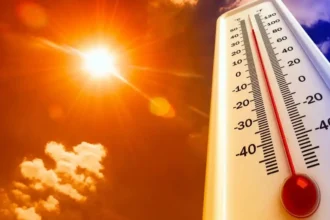 caldo africano