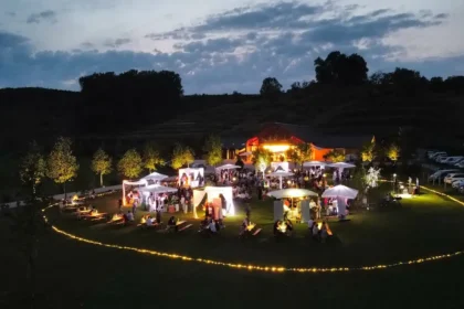 serata tra vino e musica in Friuli