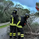 Piogge e temporali in Veneto