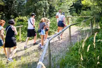 Nuovi allestimenti e nuove attività al Centro Ambientale Turistico di Cavallino-Treporti